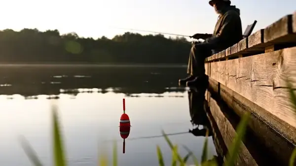 A red and white fishing bobber floating and bobbing gently on still lake water by a dock